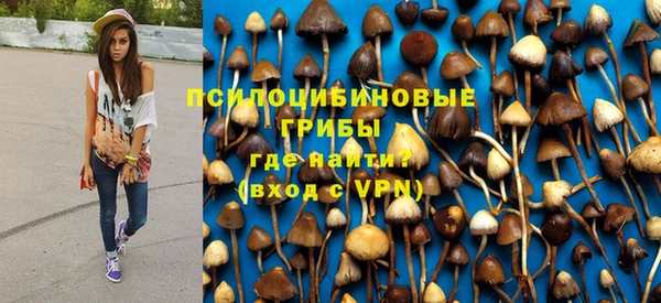 бутират Богородицк