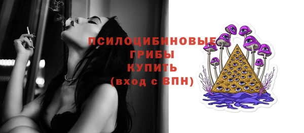 амф Богородск