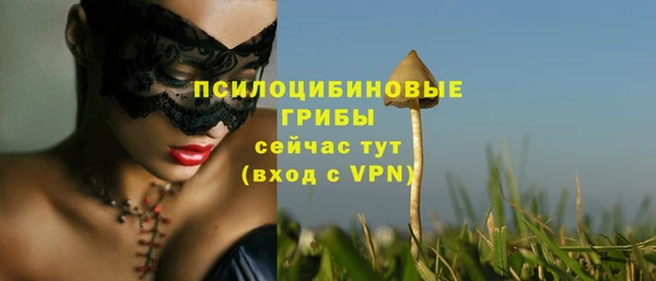 бутират Богородицк