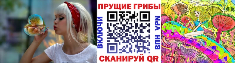 МЕГА вход  Юрга  Псилоцибиновые грибы Psilocybe 